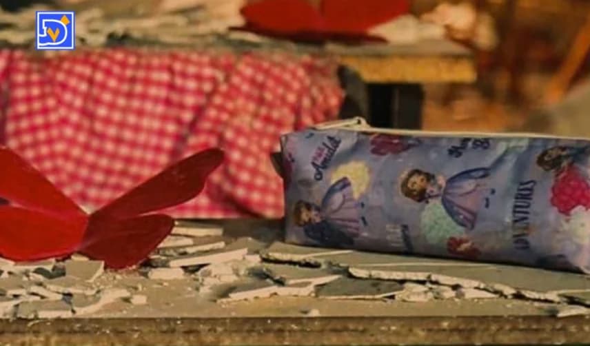 چیدمان ۲۰۰۰ پروانه سرخ / چهلمین روز شهادت دانش‌آموزان میناب