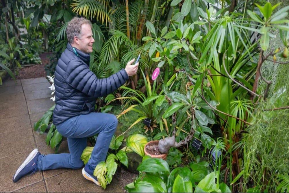 گفتگو با گیاهان ممکن شد