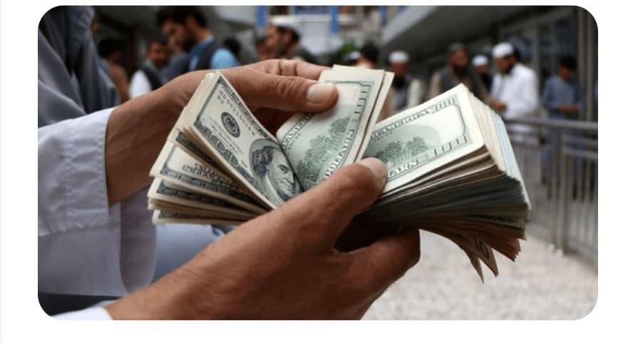 قیمت دلار امروز چهارشنبه ۲۴ دی ۱۴۰۴ / دلار در بی خبری