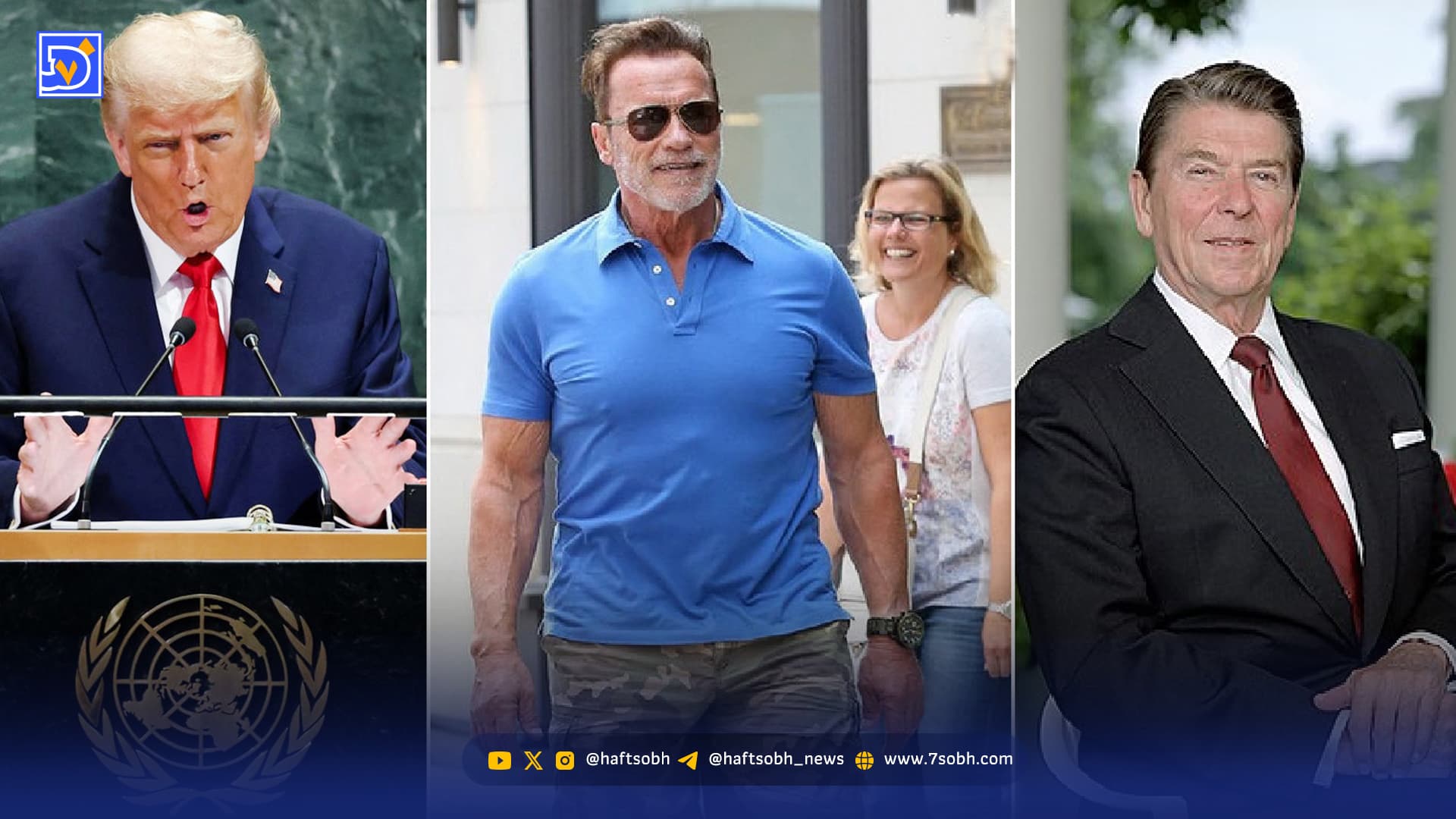 ‌جایی برای‌ سلبریتی‌ها ‌نیست