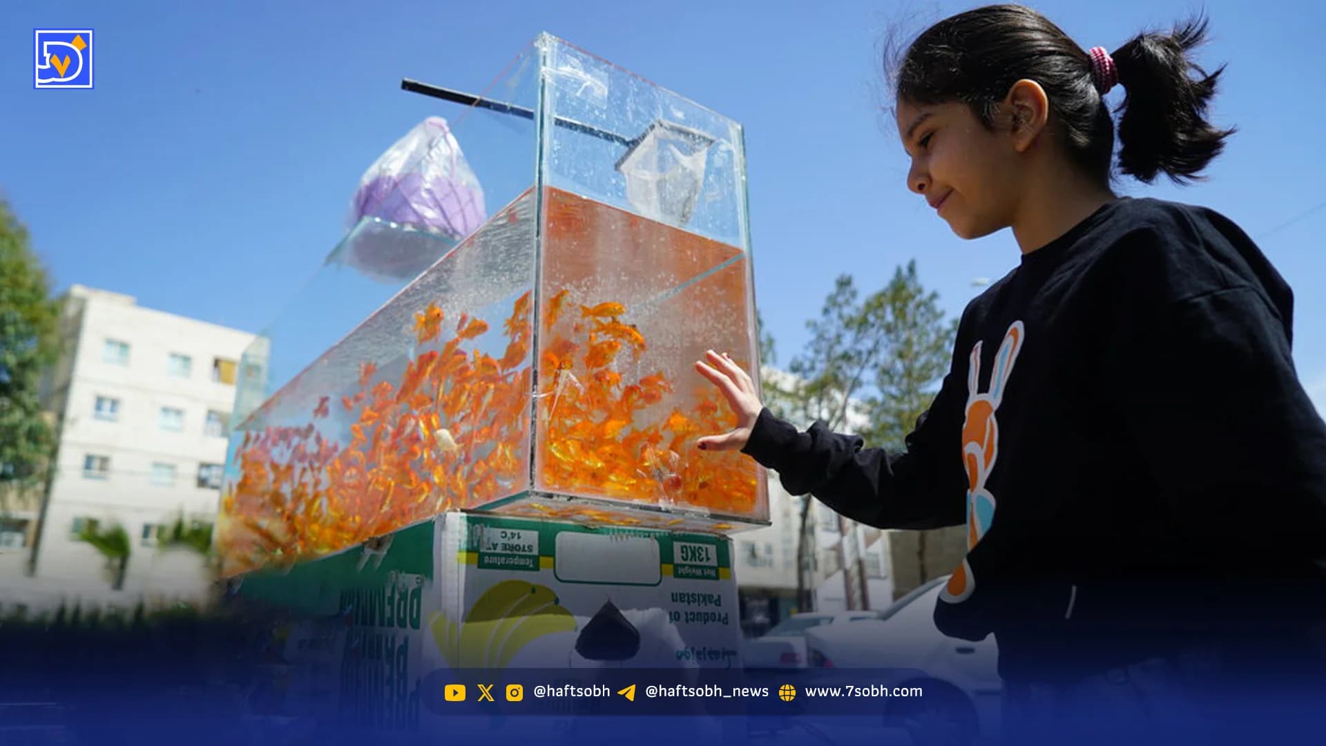 نوروز یعنی امید زنده است