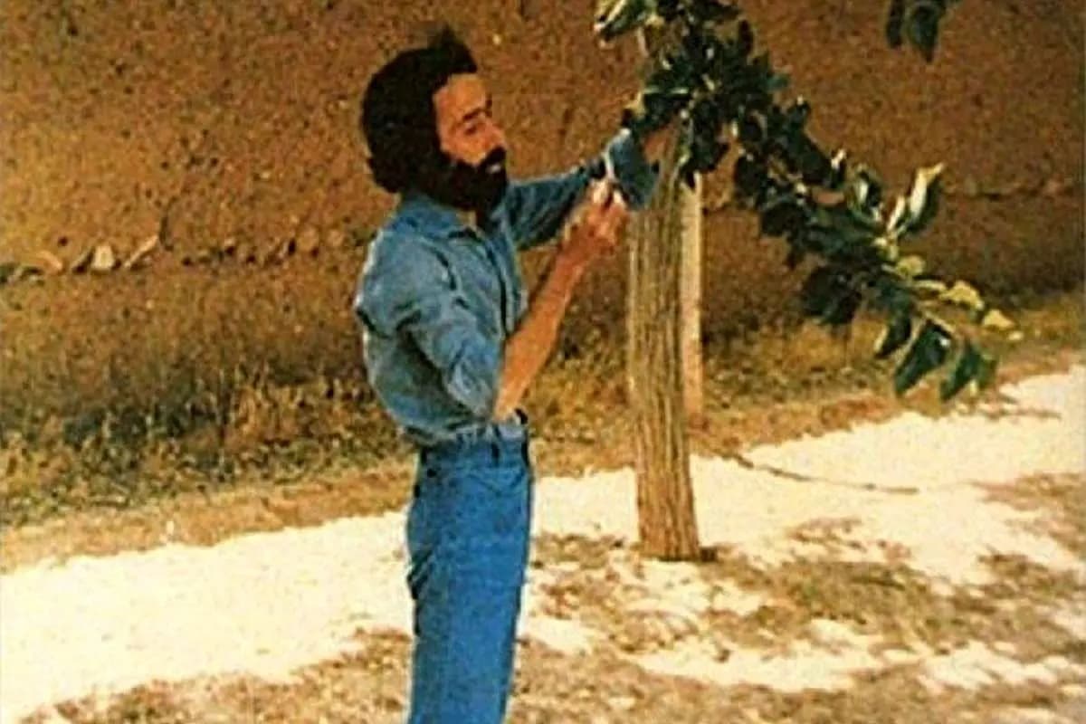 خلوتگاه دیده نشده سهراب سپهری در آستانه نابودی