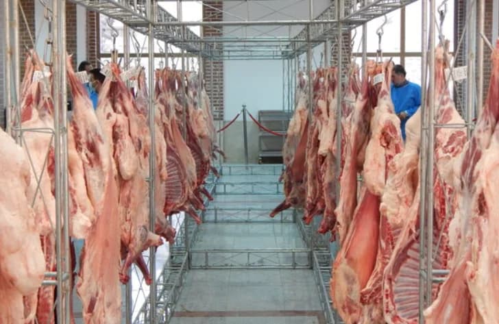 اجرای طرح نظارت بهداشتی بر دام ذبح شده در عید قربان