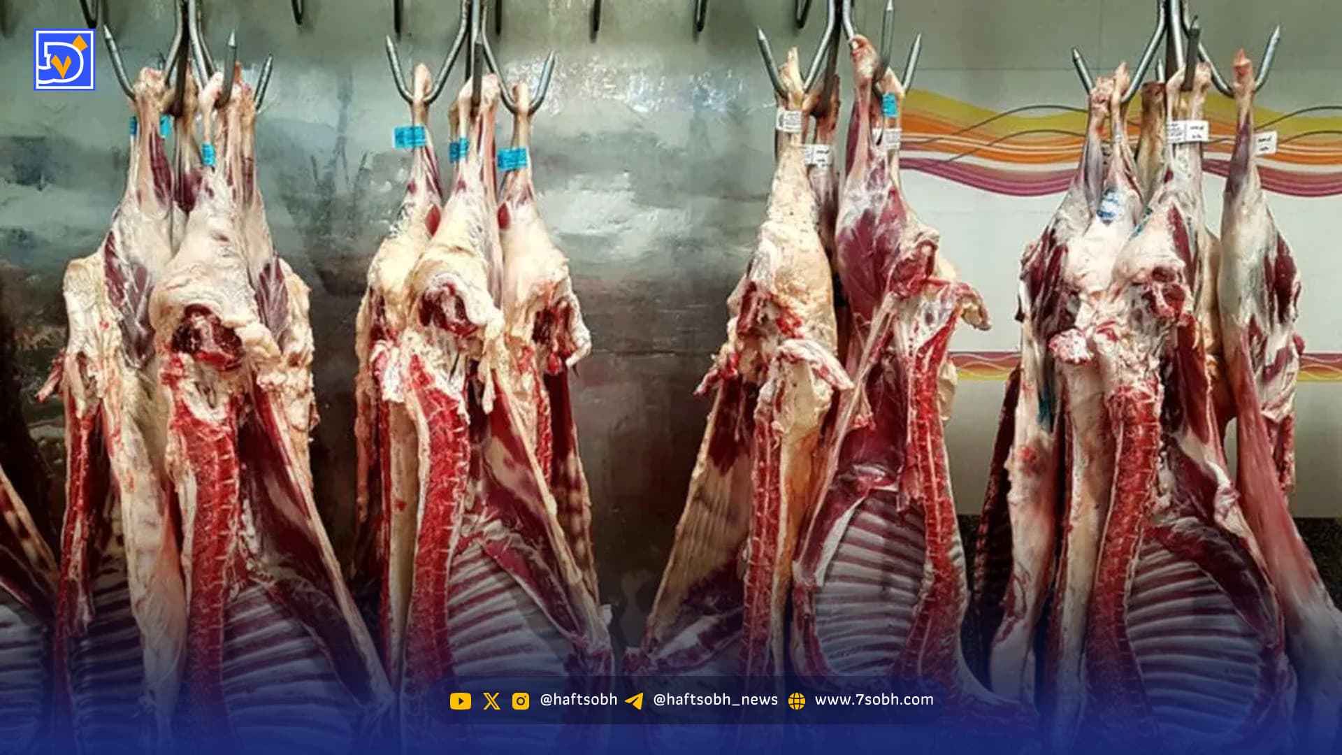 کاهش قیمت گوشت قرمز از این تاریخ / قیمت گوشت چقدر خواهد شد؟