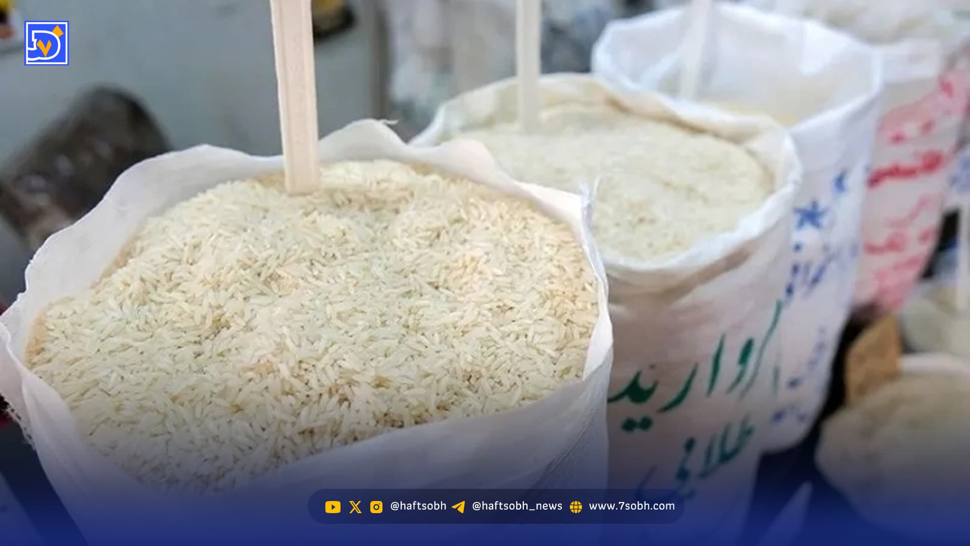 قیمت برنج به شدت ارزان شد / برنج کیلویی چند؟