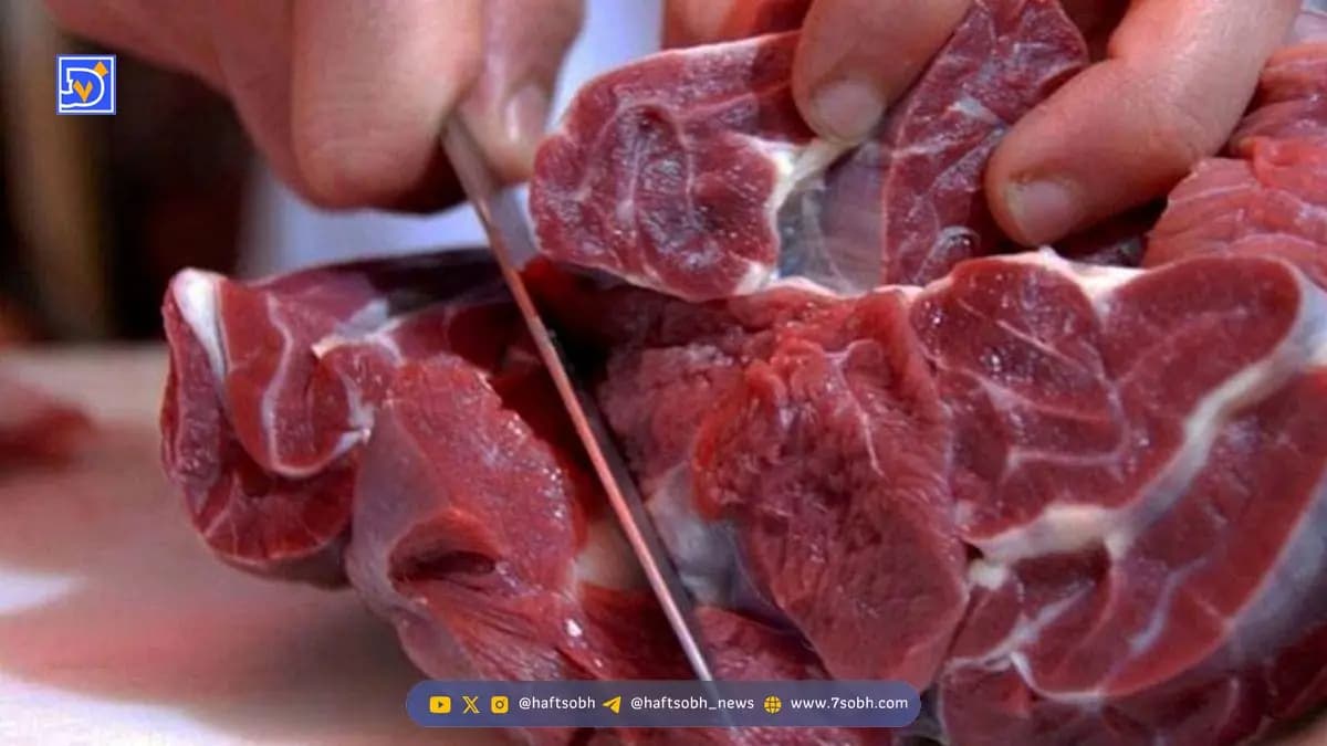 گوشت را از اینجا ۵۰۰ هزار تومان ارزان‌تر بخرید