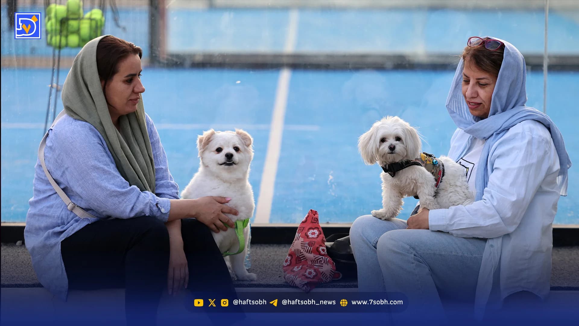 افزایش آگهی واگذاری حیوانات خانگی در سایت دیوار ‌