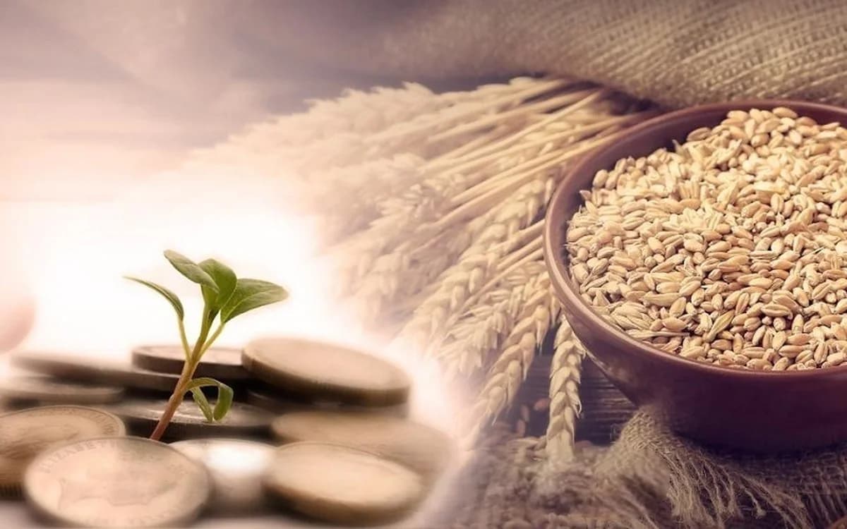 مبلغ فطریه امسال گندم و برنج 1404 چقدر است؟