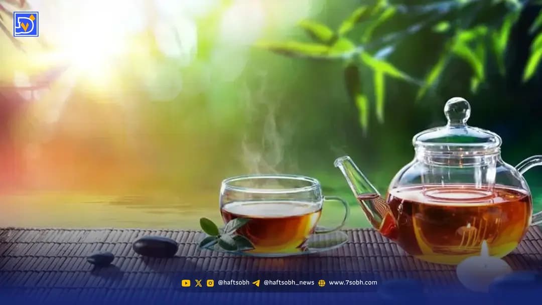 زنانی که این نوشیدنی محبوب را مصرف می کنند استخوان های فولادی دارند؟