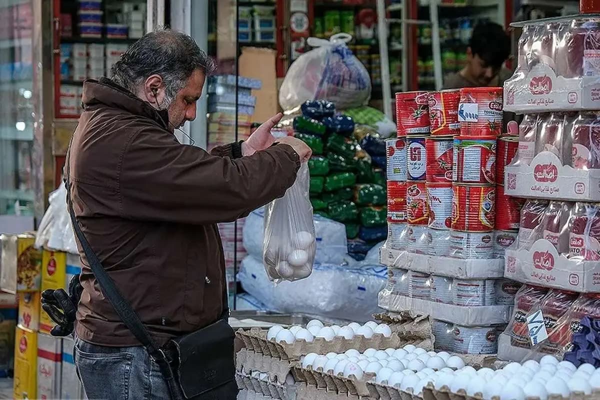 تخم‌مرغ ارزان شد