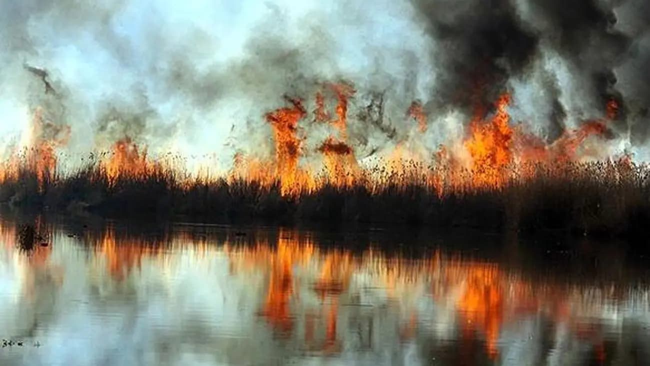 تالاب انزلی همچنان در آتش می سوزد و احتمال افزایش وسعت حریق به ۱۰ هکتار وجود دارد