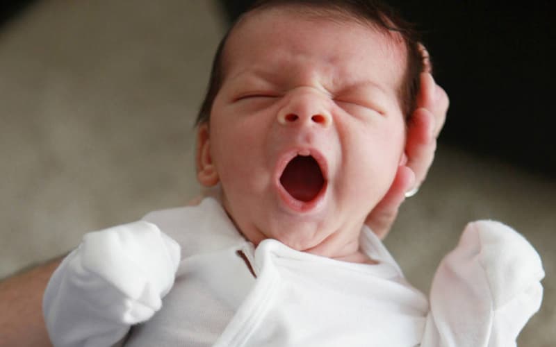 چرا نوزاد انسان ناتوان‌ترین موجود زمین است؟