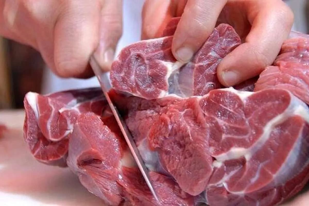 جدیدترین قیمت گوشت قرمز امروز / ران گوساله و گوسفندی کیلویی چند شد؟