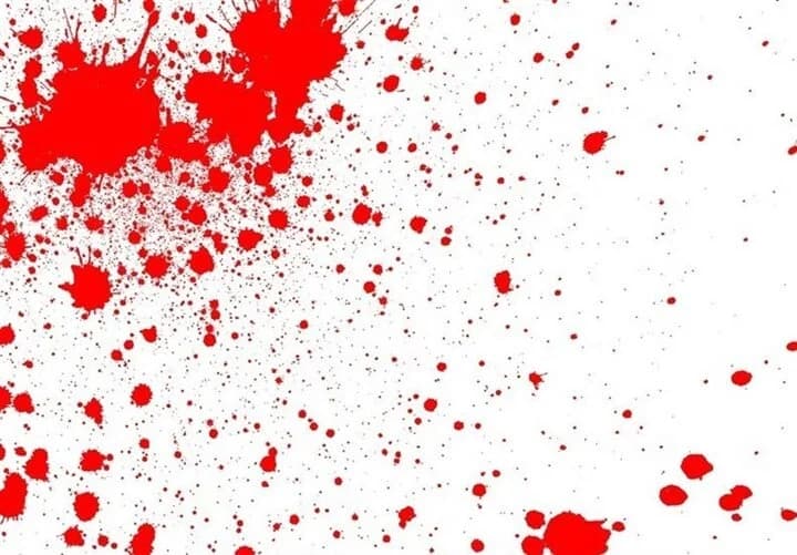 مرد تهرانی یک هفته با جسد همسرش در آشپزخانه زندگی کرد/ مهریه سنگین جنایت آفرید