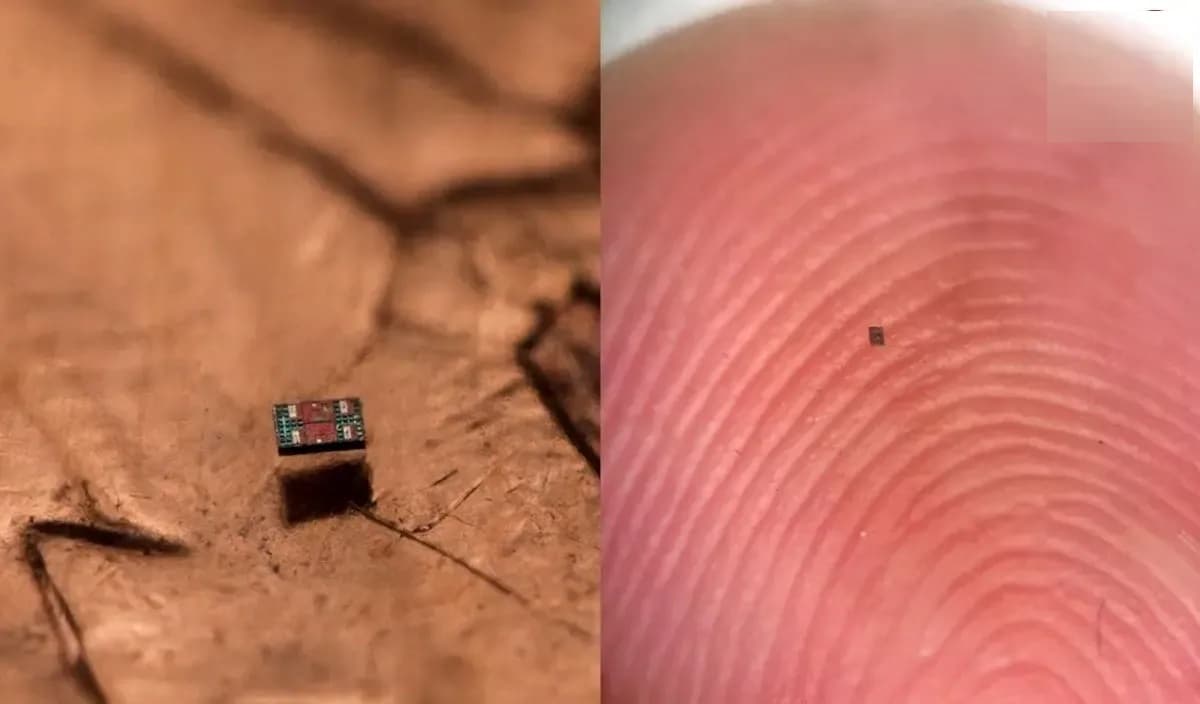 کوچک‌ترین ربات‌ جهان ساخته شد/ تصاویر