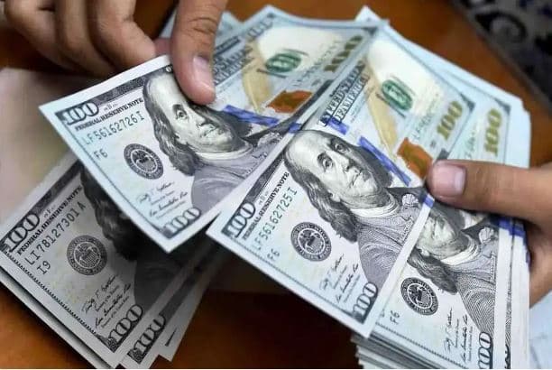 قیمت دلار امروز چهارشنبه 1 بهمن 1404 / سرما در بازار دلار