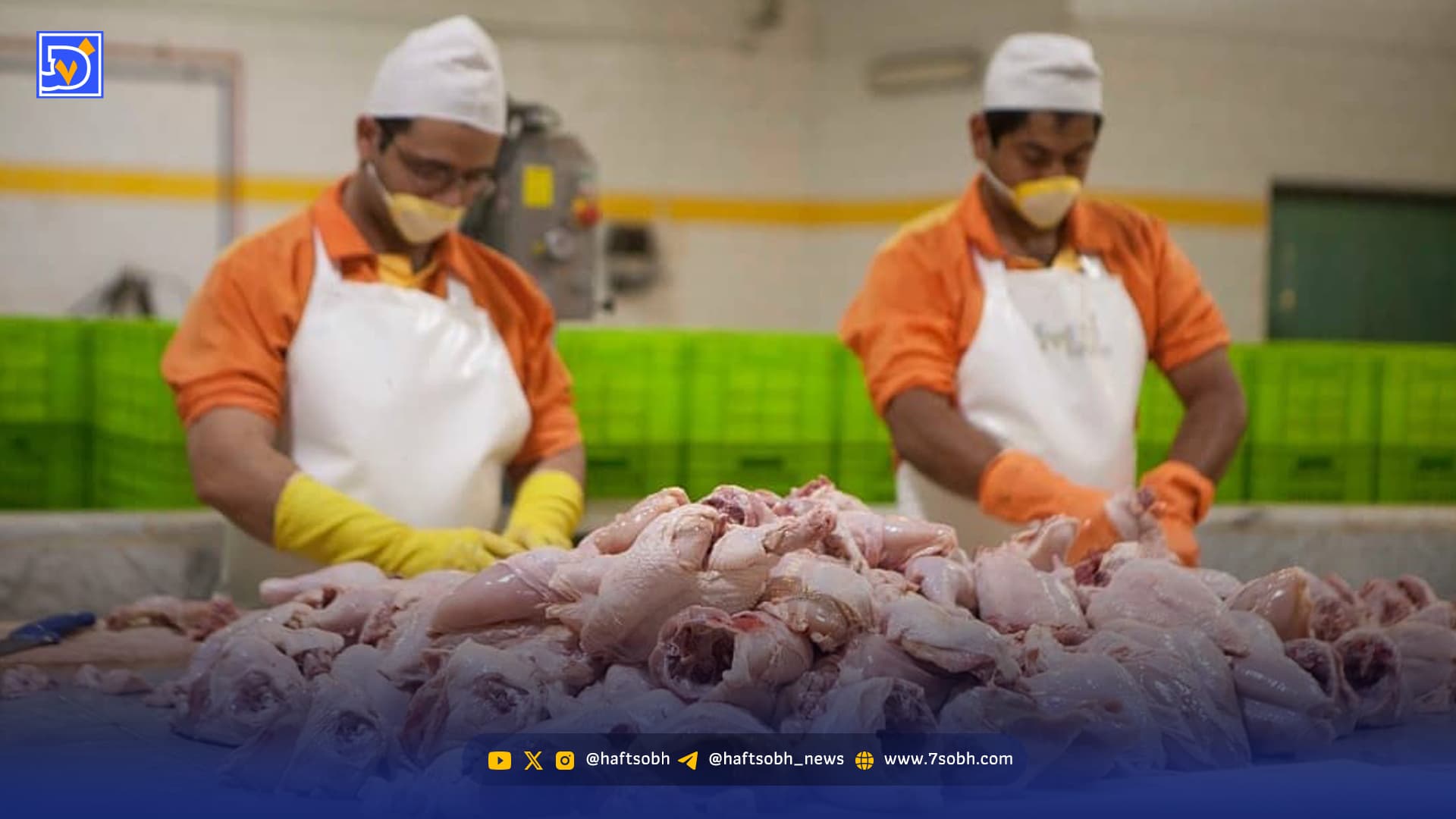 ضایعات مرغ هم مشتری پیدا کرد