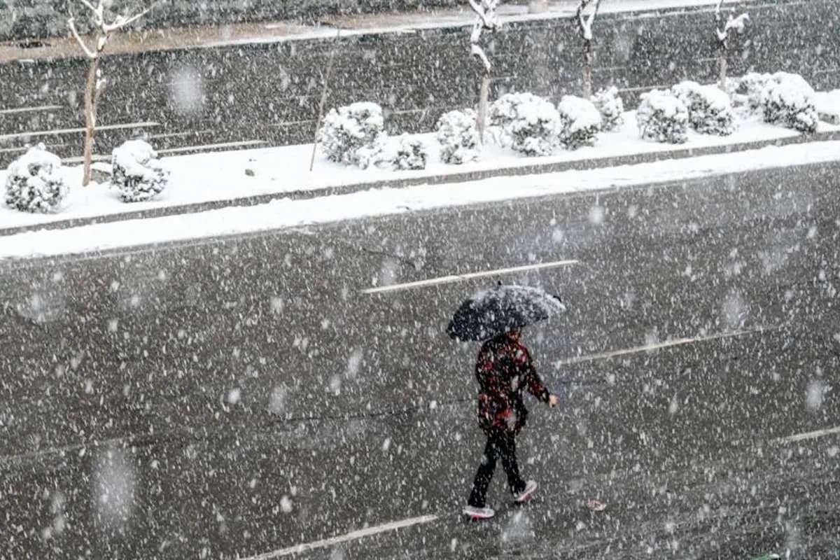 هواشناسی ایران امروز شنبه 4 بهمن 1404 / ۱۰ استان برفی و بارانی می‌شوند
