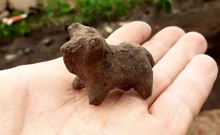 گاوهای 2700 ساله در اوکراین از زیر خاک بیرون آمدند