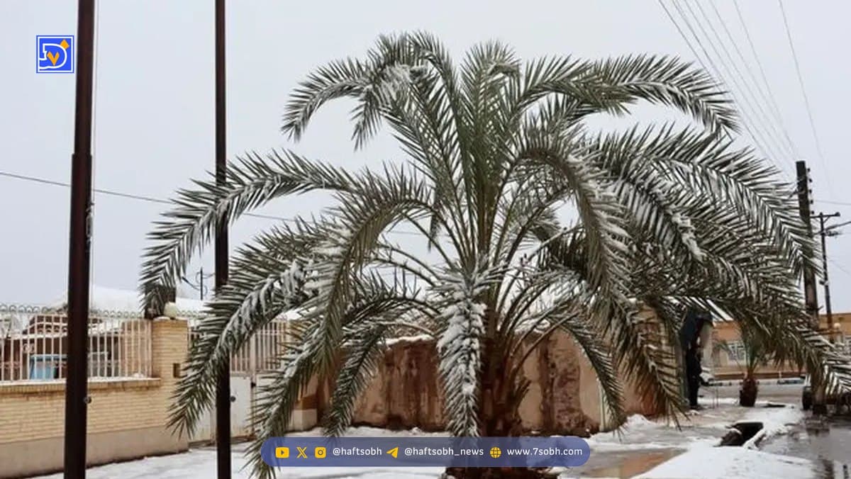 کدام استان ها برفی هستند؟