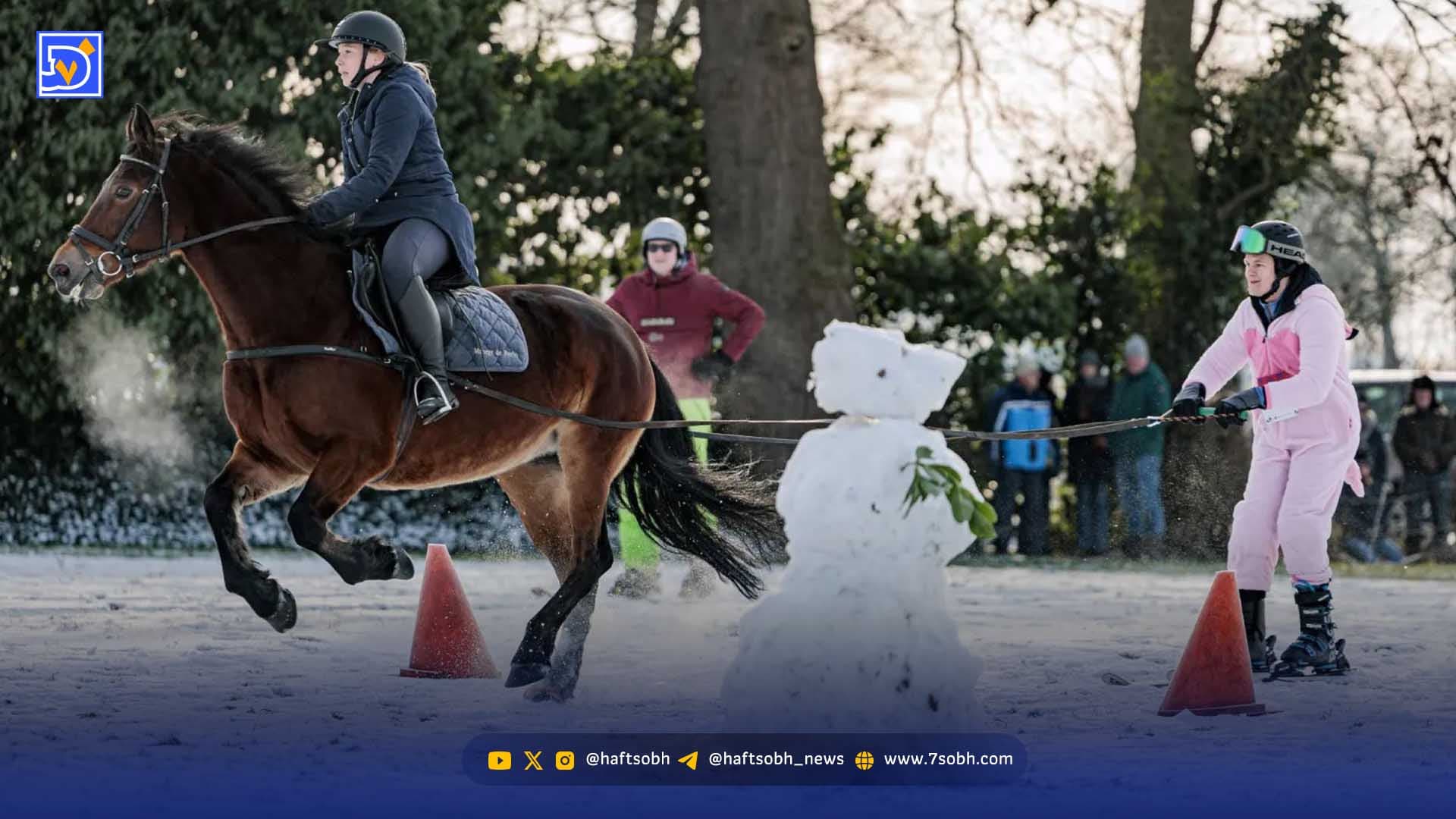 اسبسواری کن تا قند خونت بیاد پایین