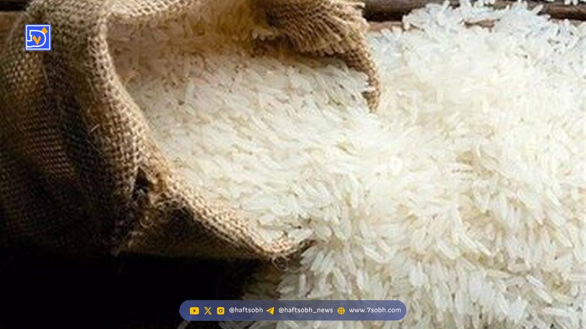 پرداخت یارانه برنج به مردم قطعی شد +  مبلغ و مشمولان