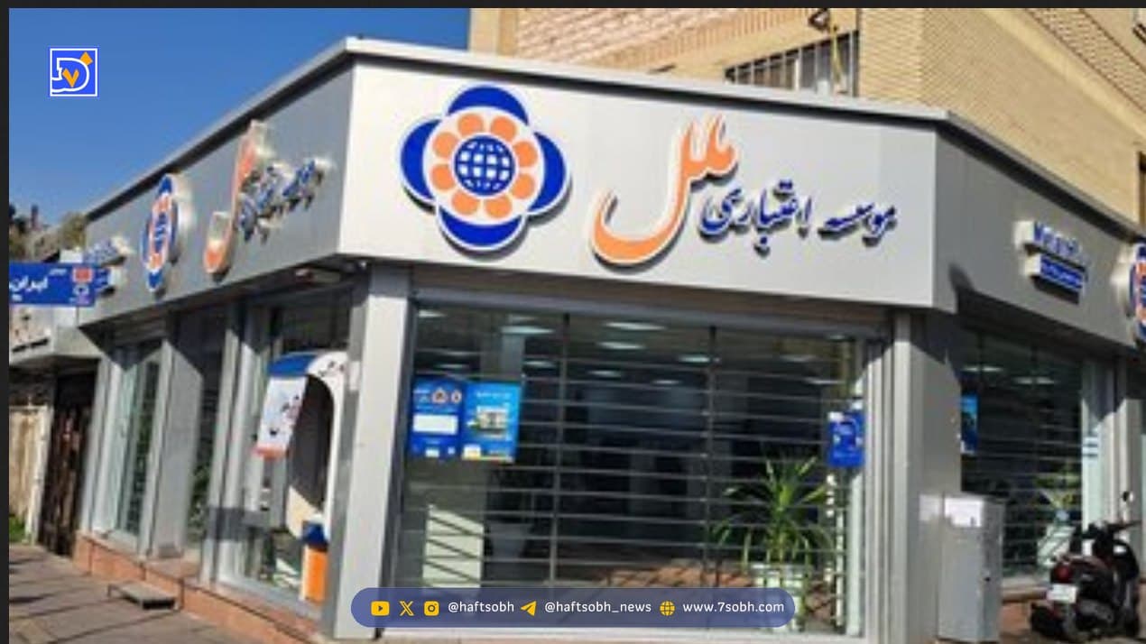 بازداشت مدیرعامل سابق موسسه ملل تایید شد