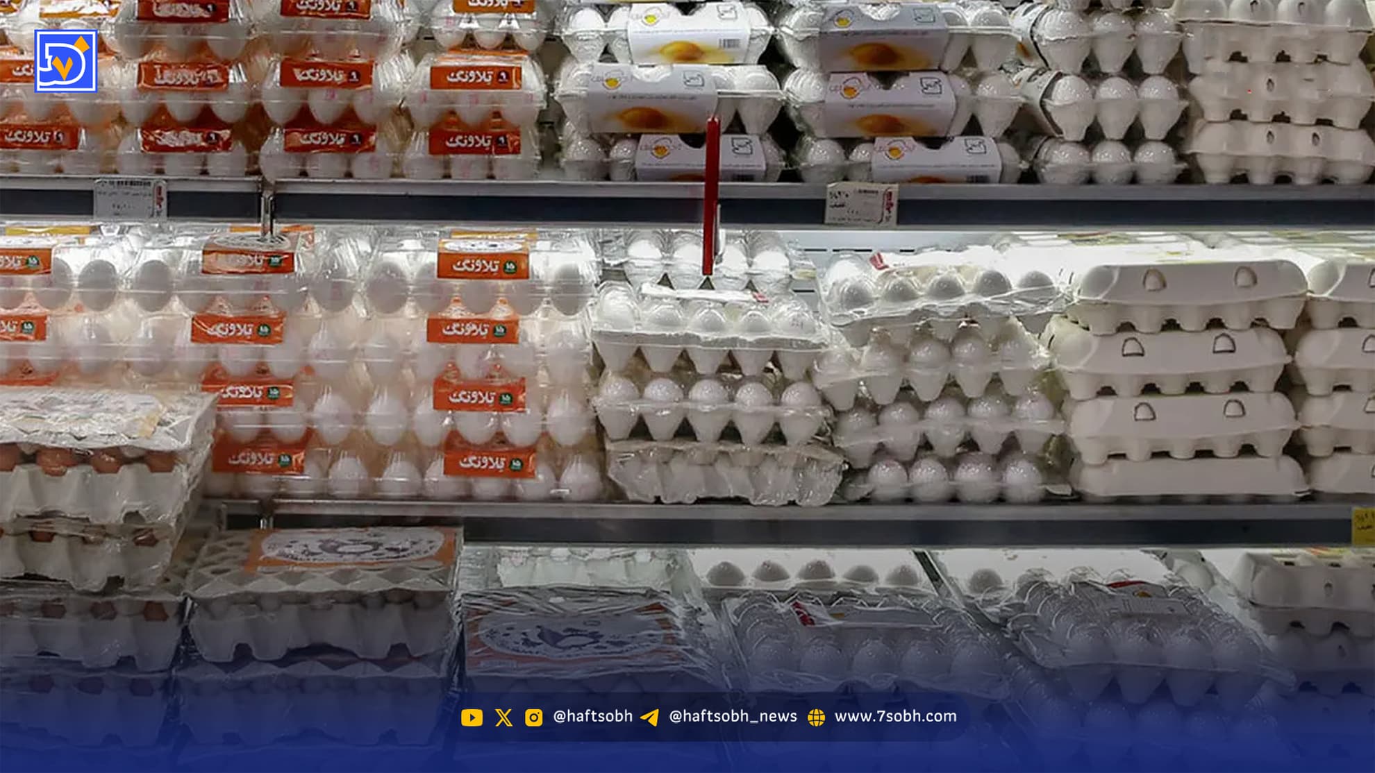 تخم مرغ ارزان شد؟