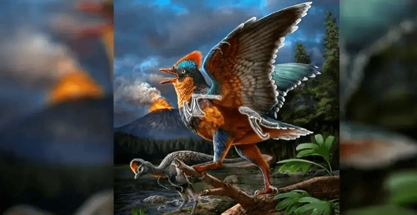 باستانی‌ترین پرندۀ فسیل‌شده جهان در چین