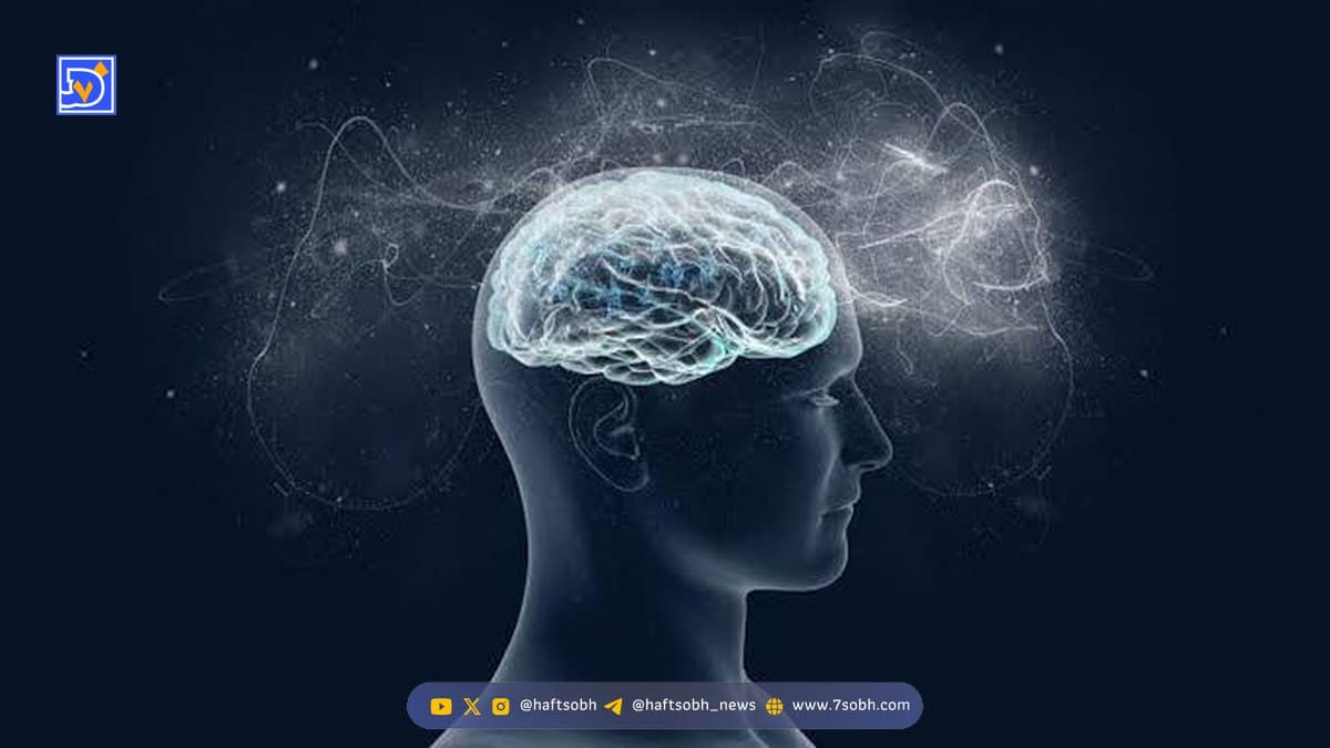 آیا ما فقط از ۱۰ درصد توان مغز خود استفاده می‌کنیم؟