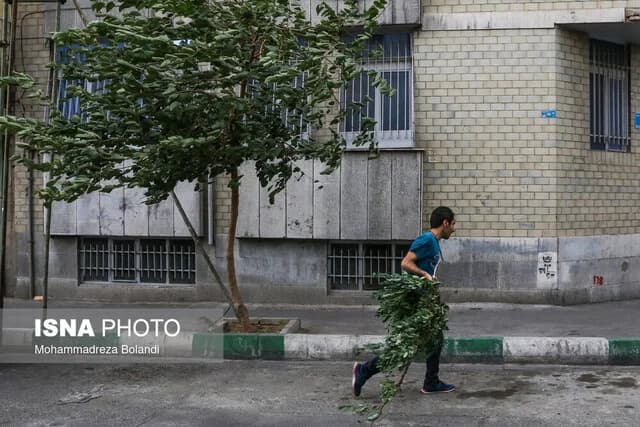 هشدار نسبت به وزش باد شدید در تهران/ احتمال سقوط اجسام از ارتفاع
