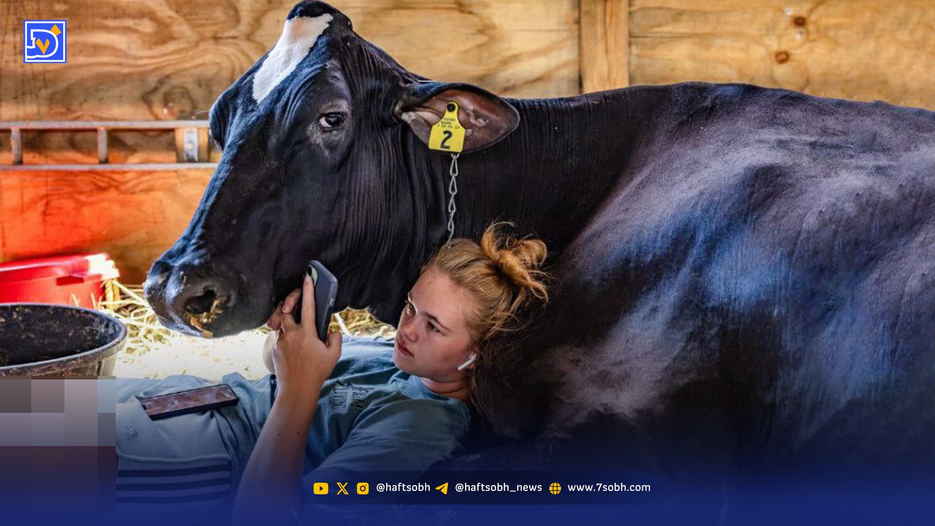 قاب امروز | عکس‌های دیدنی از برندگان مسابقه عکاسی جهانی سونی