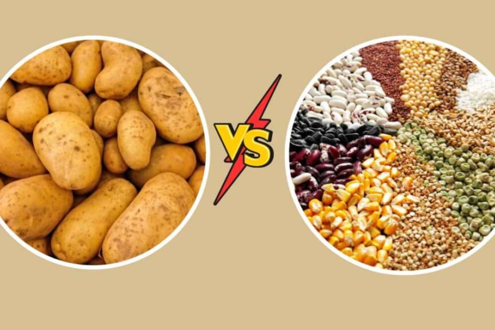 سیب زمینی و غلات می‌توانند جایگزین یکدیگر باشند؟