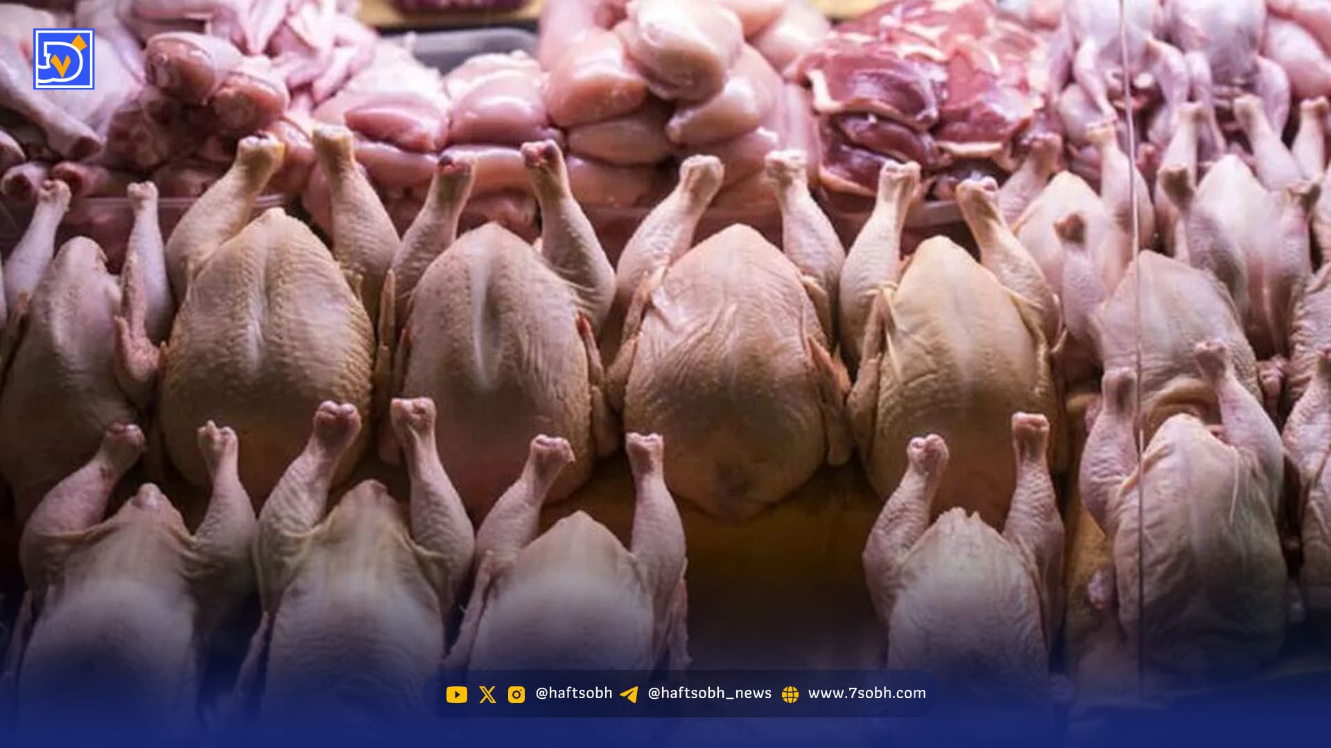 ریزش قیمت مرغ در بازار/ قیمت جدید مرغ چند؟