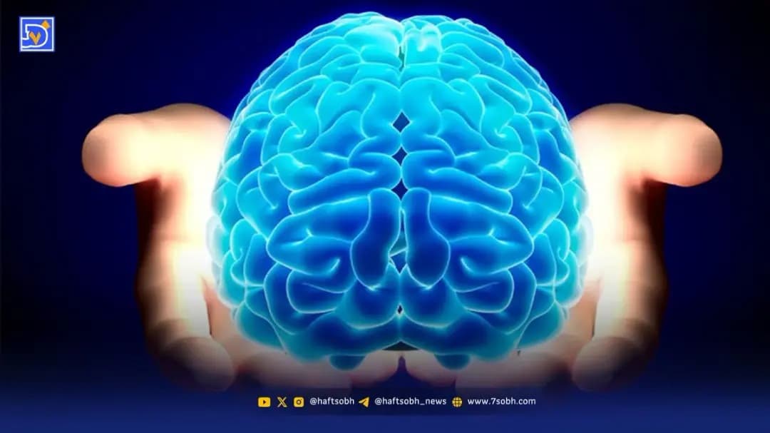 اگر می خواهید همیشه مغز شما جوان بماند این ۵ کار را به خاطر بسپارید