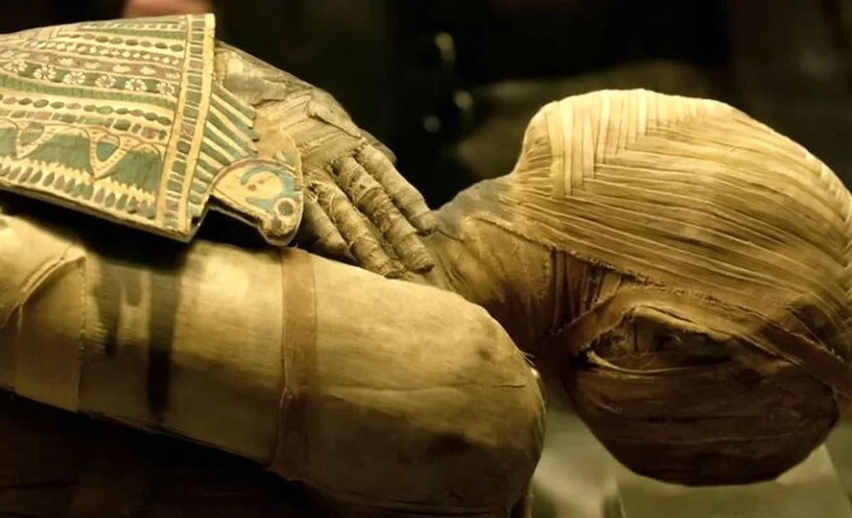 کشف استثنائی در شکم یک مومیایی