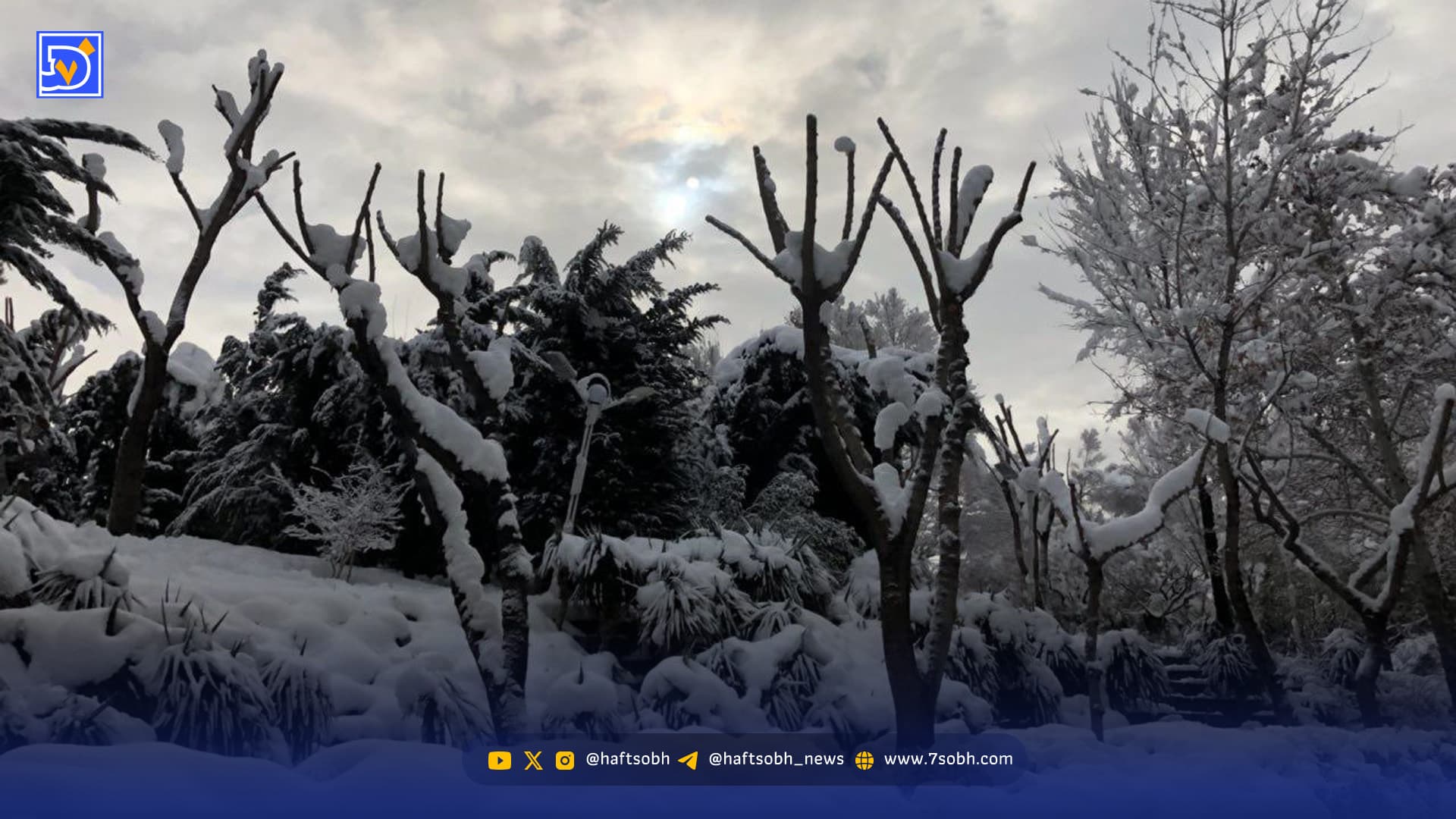 هوای تهران سردتر می‌شود؛ احتمال یخبندان در مناطق شمالی