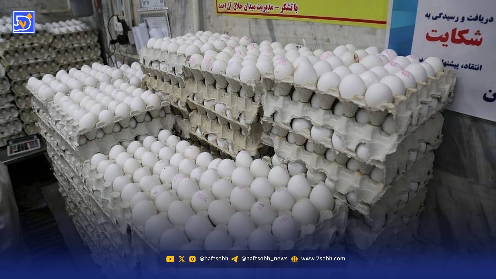 تخم مرغ ارزان شد / تخم مرغ شانه ای چند؟