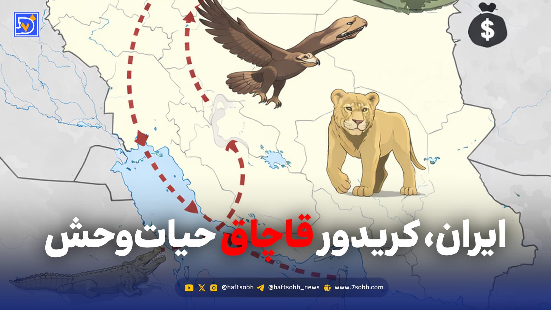 ایران در مسیر ترانزیت قاچاق حیات وحش
