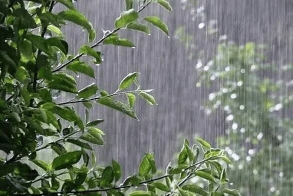 پیش‌بینی آب و هوا تا پایان هفته/ بارندگی شدید در این استان‌ها