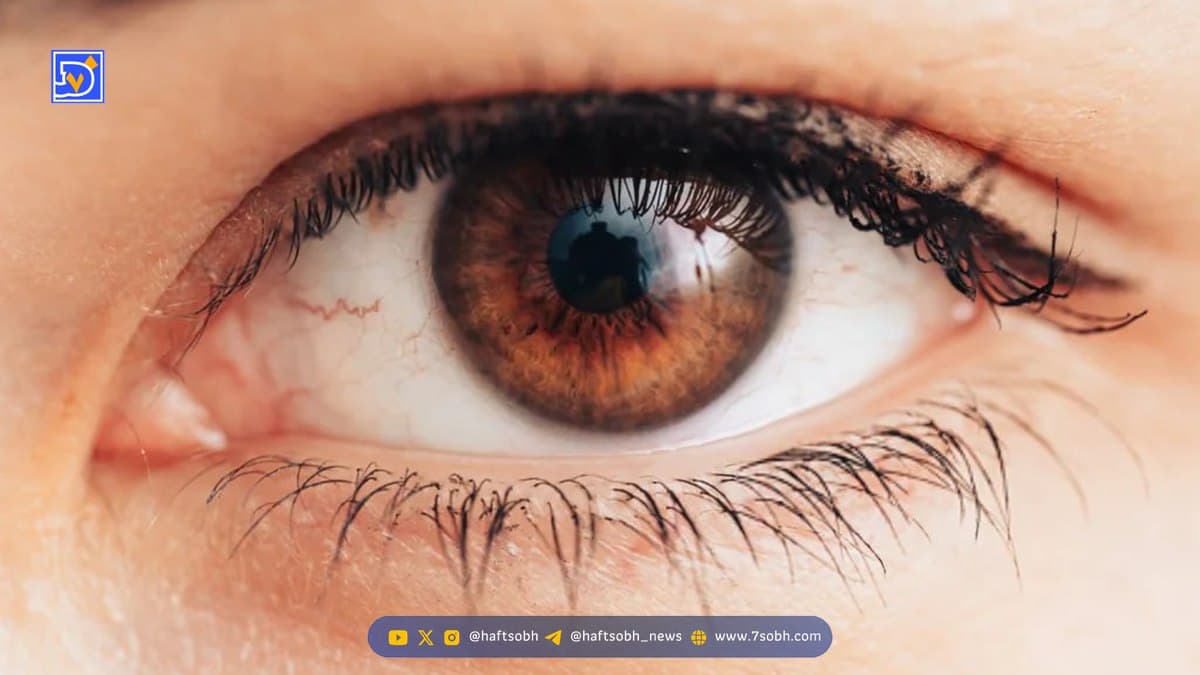 ۱۰ تا از بهترین ویتامین ها برای چشم از نظر پزشکی