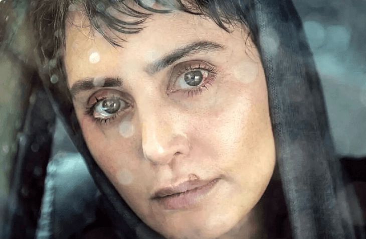 فیلمی که الناز شاکردوست در آن بازی کرده، یک درام هندی است؟