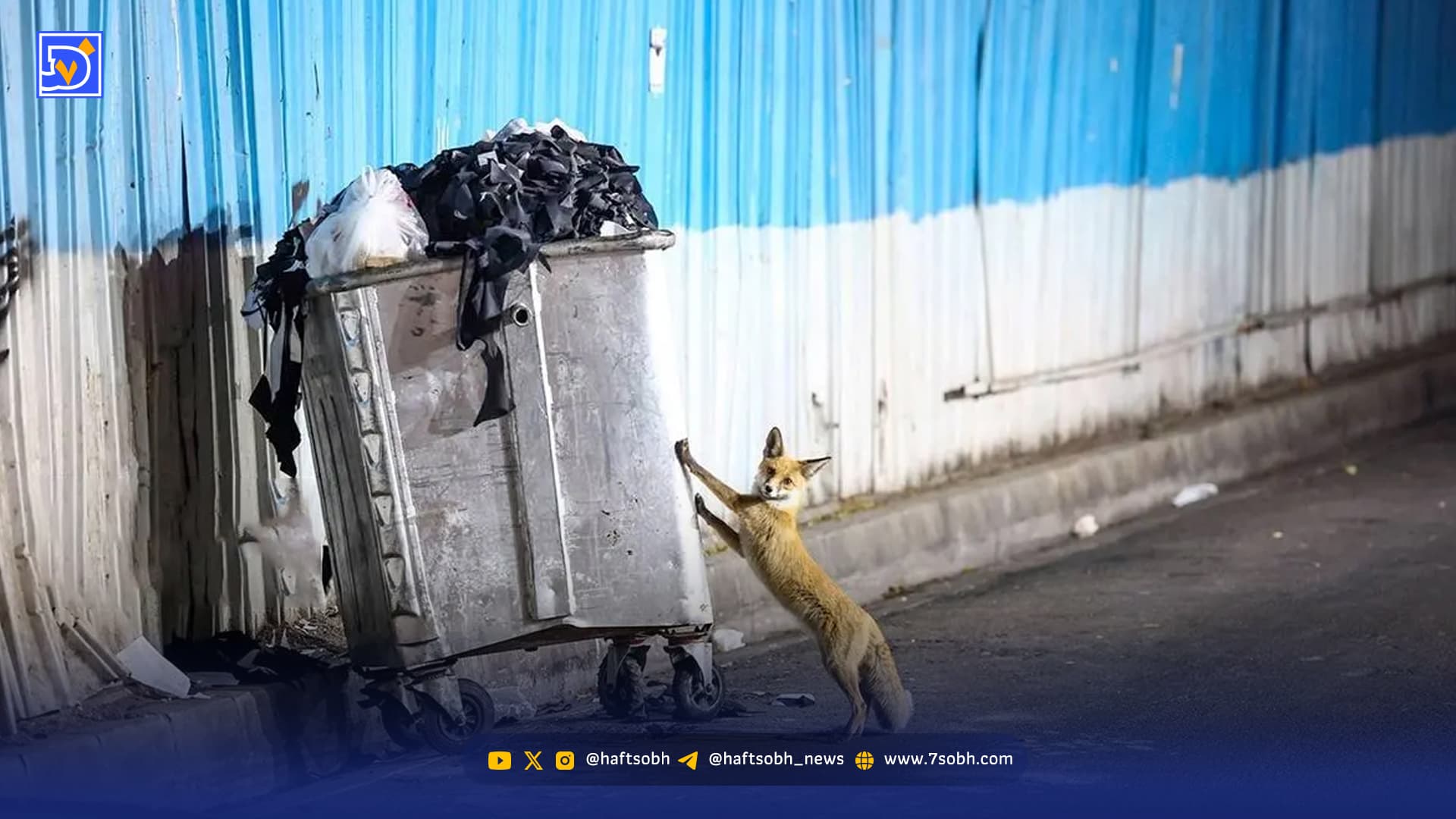 هشدار درباره ‌انگل‌ خطرناک لیشمانیو‌ز