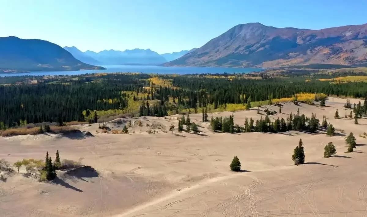 کوچک‌ترین بیابان دنیا جایی است که فکرش را هم نمی‌کنید!