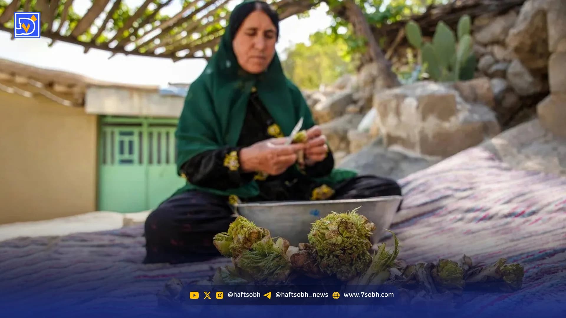دشتها و مراتع زیر تیغ طمع