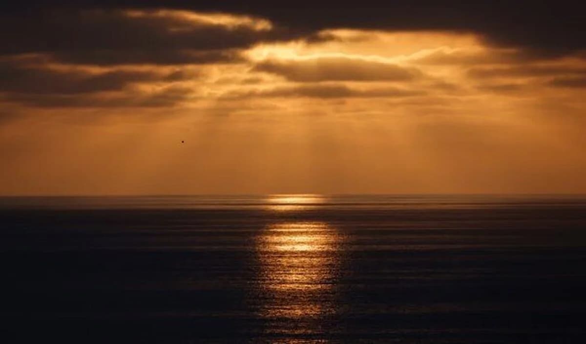 زنگ هشدار اقلیمی/ دمای دریا‌های جهان دوباره اوج گرفت