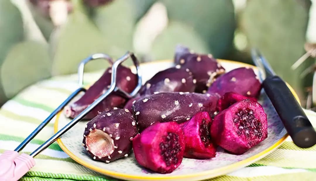 ۷ خاصیت شگفت‌انگیز میوه کاکتوس