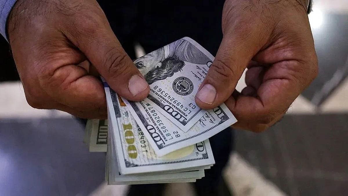 قیمت دلار امروز دوشنبه 20 بهمن 1404 / دلار دوباره قدرت گرفت