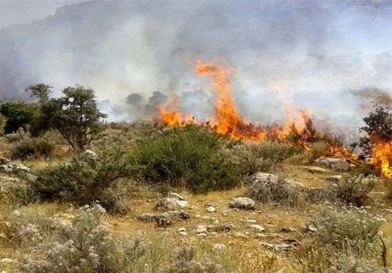 دهمین آتش‌سوزی میانکاله در یک ماه؛ بالگرد برای مهار آتش به منطقه اعزام شد