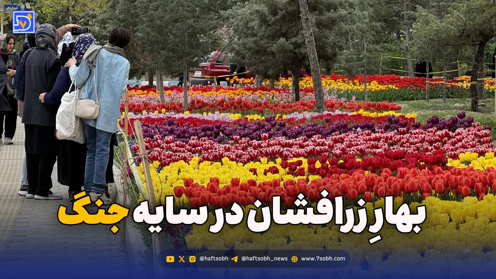 بهار زرافشان در سایه جنگ